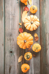 Overhead shot with autumn pumpkin thanksgiving background, assorted pumpkins over green wooden table. Copy space. Toned