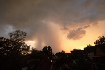Ein Gewitter zieht übert den Himmel.  Aus den dunklen Wolken schüttelt es wie eine große Welle über die Bäume, die nur als Schatten sichtbar sind.