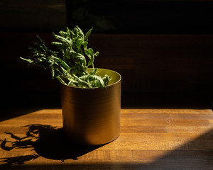 dried herbs in gold cup with harsh light and shadow