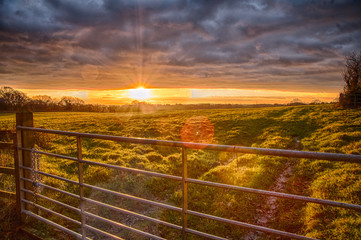 Sussex Countryside farm gate view sunset fields glare
