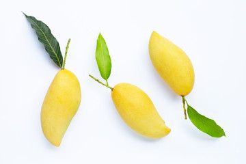Tropical fruit, Mango on with leaves white background.