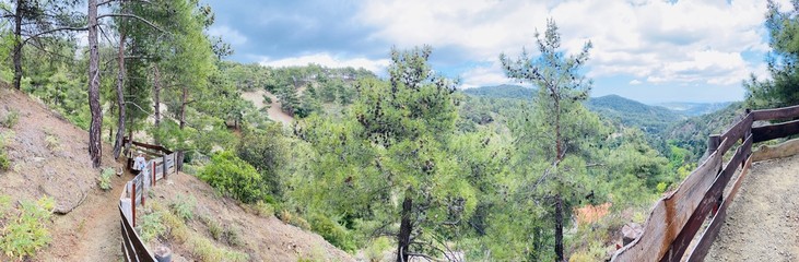 nature trail in the forest