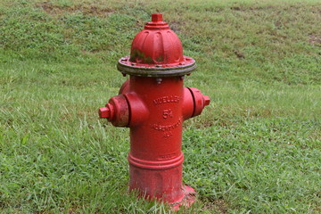 Fototapeta na wymiar Red Fire Hydrant 