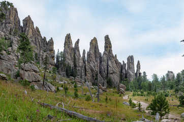 tall rock formations in black hills national forest