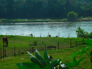 View from afar of a river and its green nature 