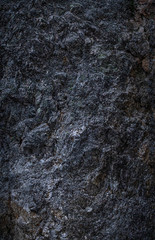 rock texture