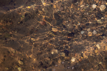 Transparent water in the river. Bottom visible