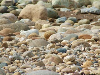Cobblestones at Hither Hills State Park, Long Island, NY.