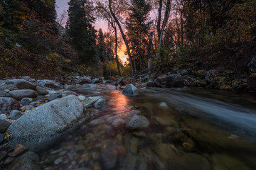 Sunset light reflects in big cottonwood creek in Utah.