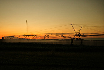 Farm Irrigation System Watering Crops During Early Morning Hours
