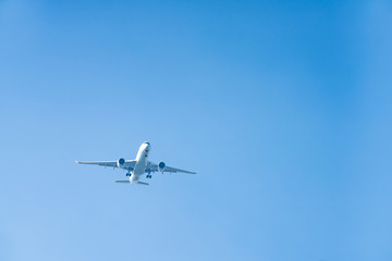 飛行機
