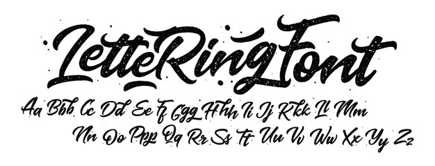 Vector hand drawn alphabet isolated on white background. Brush painted letters. Decorative artistic font. Black letters.   © Very Well Studio