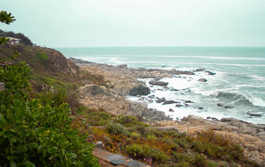 Borde costero con hermosa vegetación