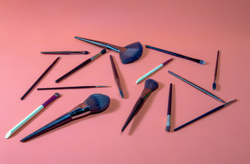 makeup brushes of different sizes and models
