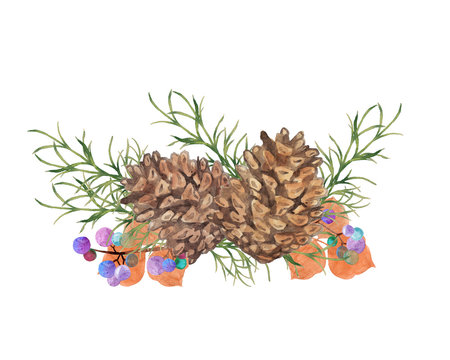 112 Best 野葡萄 Images Stock Photos Vectors Adobe Stock