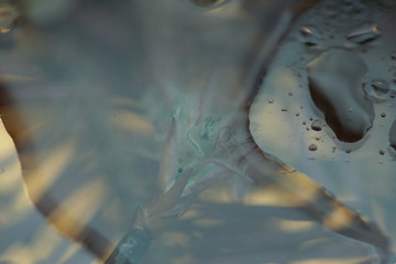 moments under the sun light