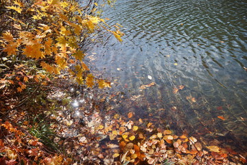 An amazing autumn season landscape of  Japanese mountains, Nagano, Japan, national nature park