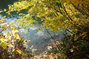 An amazing autumn season landscape of  Japanese mountains, Nagano, Japan, national nature park
