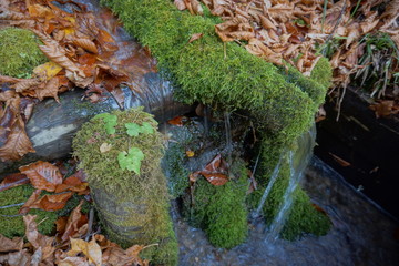 An amazing autumn season landscape of  Japanese mountains, Nagano, Japan, national nature park