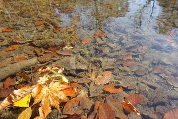 An amazing autumn season landscape of  Japanese mountains, Nagano, Japan, national nature park