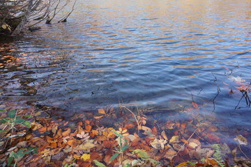 An amazing autumn season landscape of  Japanese mountains, Nagano, Japan, national nature park