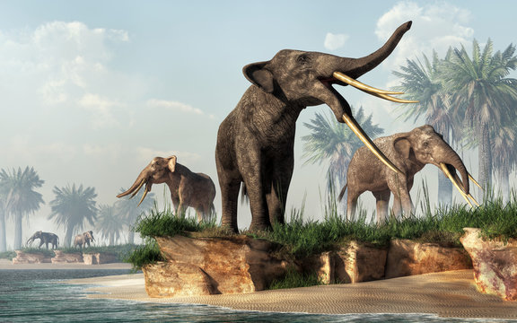 A herd of stegotetrabelodons foraging on the shore.  Stegotetrabelodon is an extinct, four tusked, prehistoric cousin of the elephant, a type of gomphothere of the Micoene.  3D Rendering