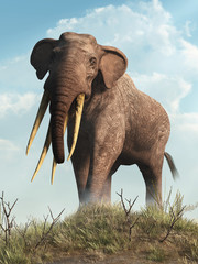 Fototapeta na wymiar Stegotetrabelodon is an extinct, four tusked, prehistoric cousin of the elephant, a type of gomphothere of the Micoene. Depicted on a grassy hill. 3D Rendering