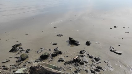 Obraz premium footprints on the beach