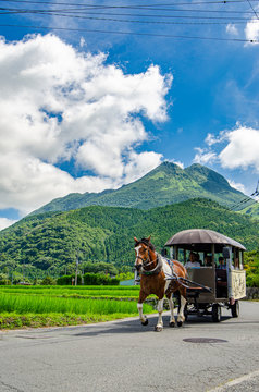 由布院　馬車　
