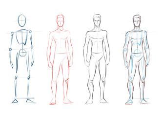 Vector male human body drawing sketches