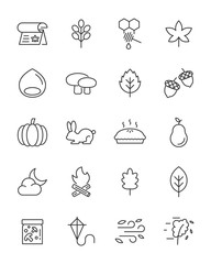 set of autumn icons, season, maple, nature