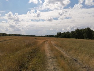 Fototapeta na wymiar road to the steppe