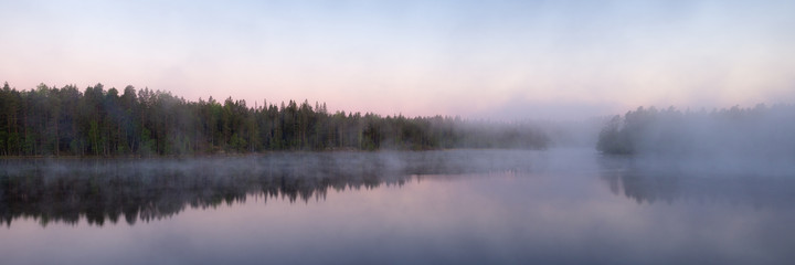 Fototapeta premium forest lake with morning fog