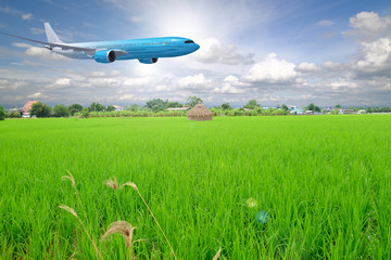airplane in the green field