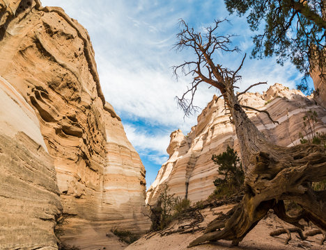 The Canyon Trail Leads Through a Slot Canyon On The Tent Rocks Trail, Kasha-Katuwe Tent Rocks National Monument, New Mexico, USA