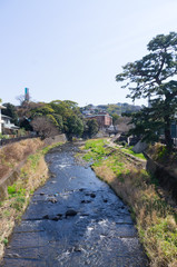 伊東市の松川遊歩道