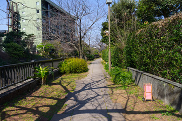 Fototapeta premium 伊東市の松川遊歩道