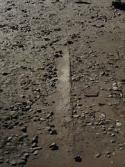 Mostly Buried Timber On A Gravel and Sand Beach