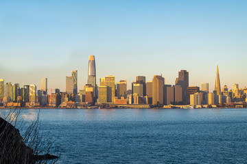 Obraz na płótnie Canvas The San Francisco Skyline