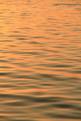 朝日に照らされる水面
