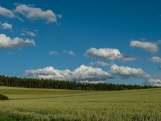 Landschaft im Sommer