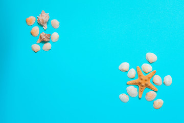 Summer background, seaside vacation, starfishes, seashells and on a turquoise blue background