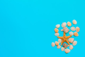 Summer background, seaside vacation, starfishes, seashells and on a turquoise blue background