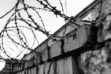 
barbed wire, with a brick wall, black and white photo Theme of imprisonment