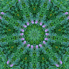 Abstract kaleidoscope background. Beautiful multicolor kaleidoscope texture. Unique kaleidoscope design.