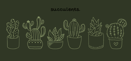 hand drawn succulents line art