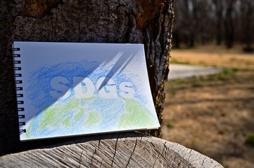A sketchbook with the words SDGs drawn on it is propped up against a zelkova tree.