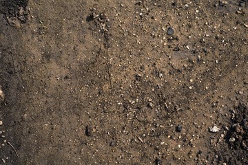 soil texture