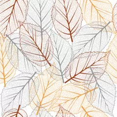 Wall murals Skeleton leaves Fall seamless pattern, vector background with fallen leaves, autumn pattern