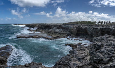 Barbados North Point Animal Flower Bay